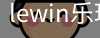 LEWIN乐玩